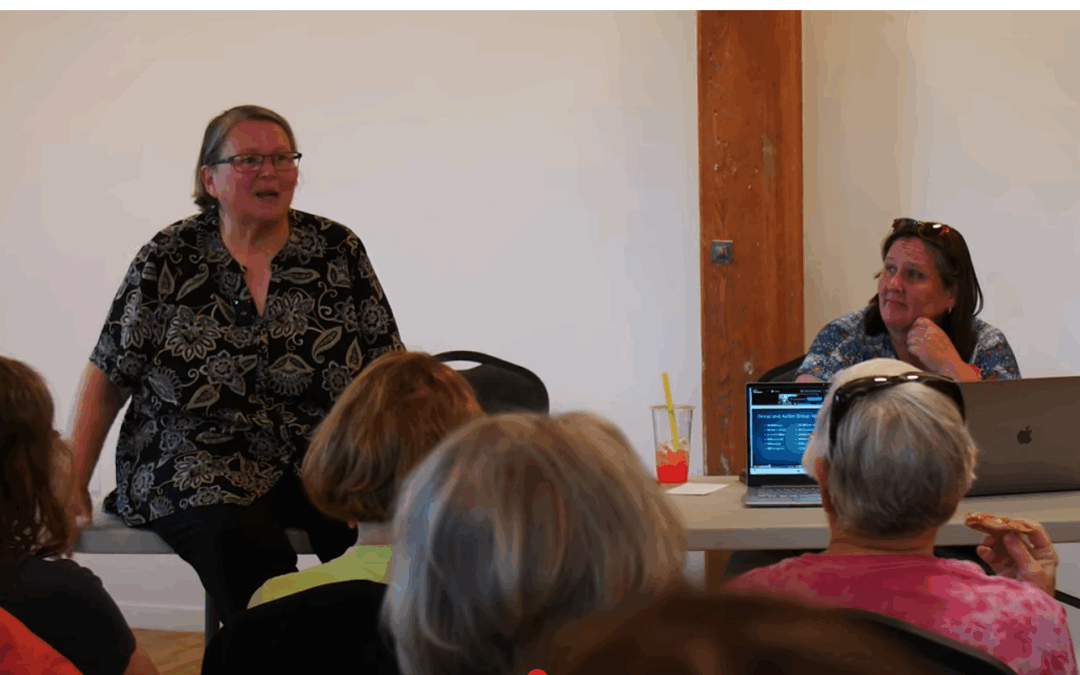 June 5, 2025 CVI Meeting