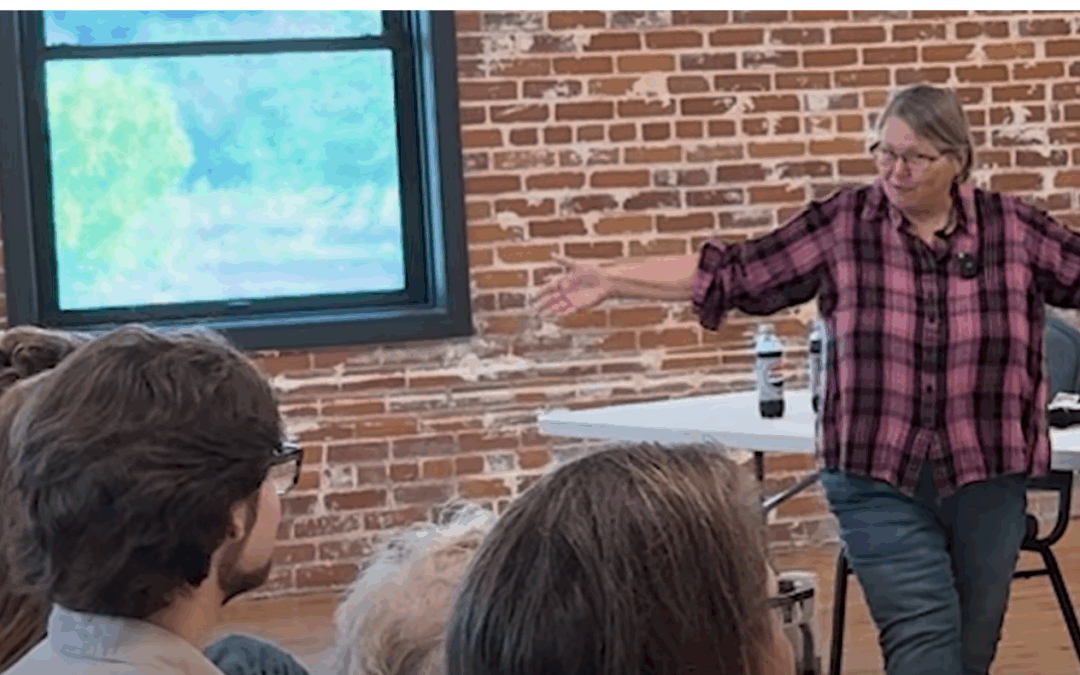 June 17, 2025 CVI Meeting